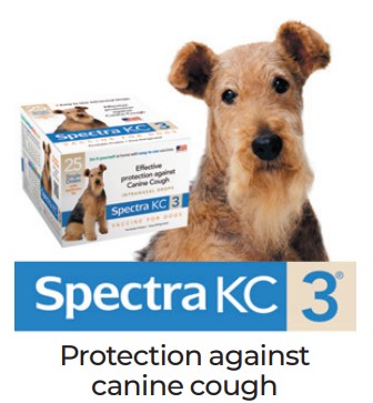 Spectra KC3